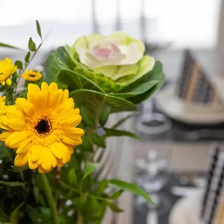 Vasko Luxurious Suites, Kaakkuri *