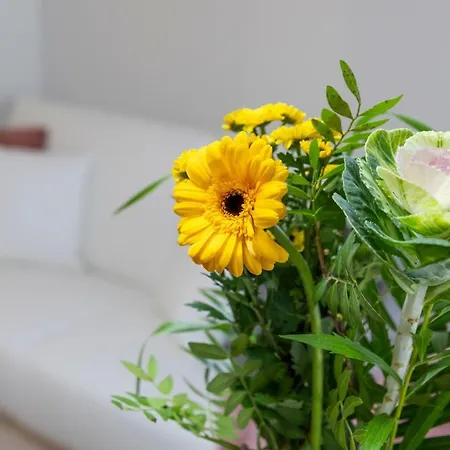 Vasko Luxurious Suites, Kaakkuri Апартаменты *