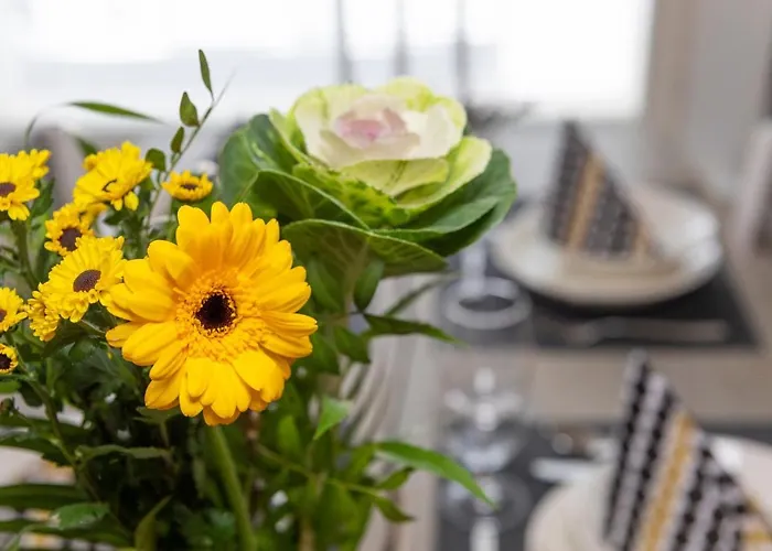 Vasko Luxurious Suites, Kaakkuri *